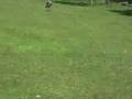 Safari Ride at Adirondack Animal Land