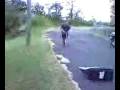 scooter ramping.