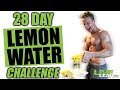 28 Day Lemon Water Challenge - Brad Gouthro