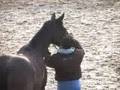 Horse Cuddles and Kisses
