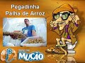 Mucao.com.br - Pegadinha - Palha de Arroz