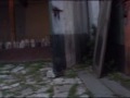 MOTION TRIO \"Stars\"   www.asphalt-tango.de