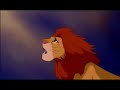 El Rey Leon