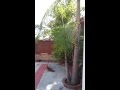 Escondido Rehab