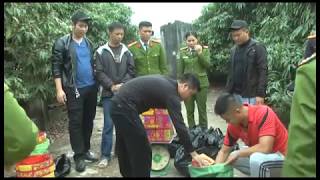 Bắt giữ đối tượng tàng trữ gần 88kg pháo các loại