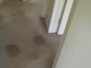 1129 17th Ave. (REHABBED!!!)