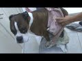 Ramo La Ba�a A Valentin