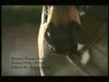 Horses-Narnia Theme Song//**60 SUBBERS p2**yout//