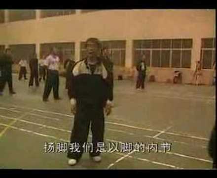 Choy Lay Fut