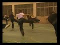 Choy Lay Fut