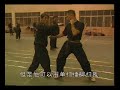 choy lay fut
