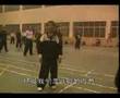 Choy Lay Fut