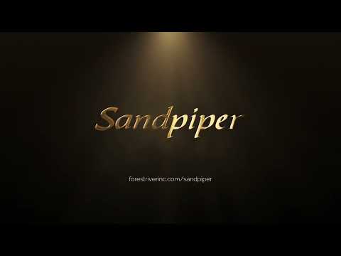 Thumbnail for 2024 Sandpiper 3800RK Video