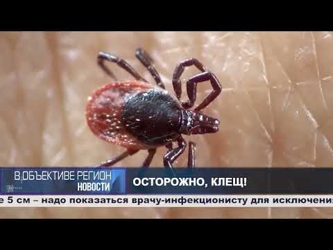 В объективе регион. 13 августа 2026.