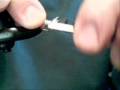 videos de Palomino Midge
