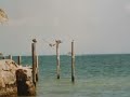 Florida USA Holiday Miami Key West explore Art Deco Largo Everglades