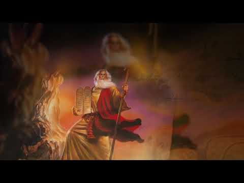 video-show