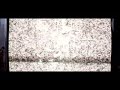 Michael Mind Project Delirious Video and Lyrics