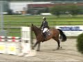 17 | CAPOUERA-S Z | Pferde Auktion Neuendorf 2008 17 | CAPOUERA-S Z | Pferde Auktion Neuendorf 2008