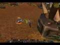 Grassy-Dawn-to-Dusk-