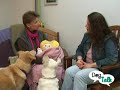 the dog nannytraining tip!