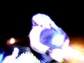 cascada-ready-for-love-live-giga-parc-d-lmen-.html