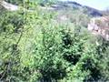 Leaving Urbino