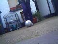 More Pelly Freestyle More Pelly Freestyle