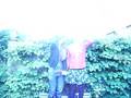 videos de vaarwel wrede wereld..