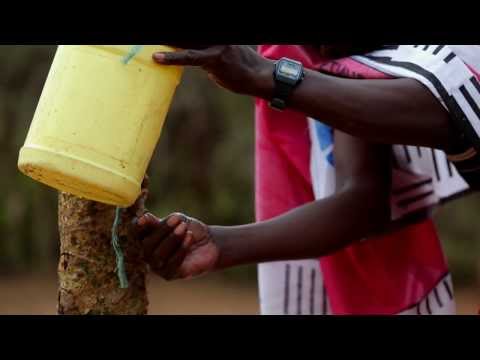 how to rebuild ntds.dit