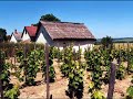 3+2: Kisb�cskai gyerek vagyok