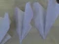 Loads of paper Aeroplanes in size order Loads of paper Aeroplanes in size order