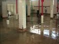 rastro municipal sigue causando inconformidad
