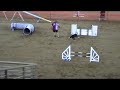 DACOF Rev'd Up Agility - July 4 & 5, 2009 - Debbie M