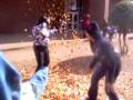 videos de playing with leavs
