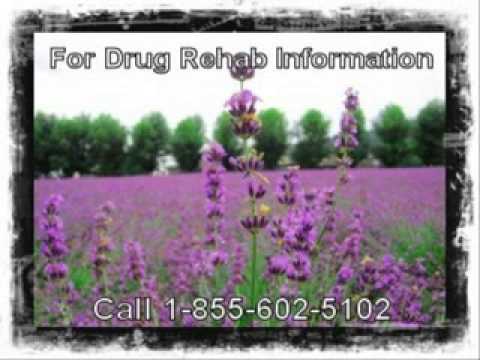 Need a Alcoholic Rehab Centers By Tupelo