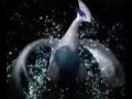 English Pokemon Heart Gold and Soul Silver Trailer