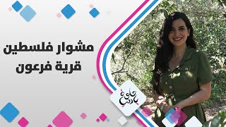 قرية فرعون - مشوار فلسطين - حلوة يا دنيا قرية فرعون - مشوار فلسطين - حلوة يا دنيا