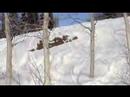 Awesome Jump At Deer Valley