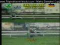 videos de RACE 5 SANTA ANA PARK MBC COLT MILE - SHINING FAME 11/23/08