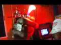 Demarco - Duppy Know Who Fi Frighten
