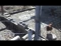 My Two Chicken Coops and Runs.