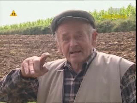 Marian Bernaciak - Orlik 2