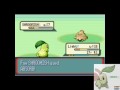 pokemon chickorita solo pt3