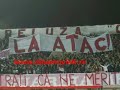 Ultras Dinamo Bucuresti