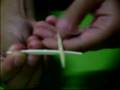 videos de Truco con palillos