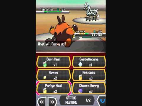 pokemon black pokemon black