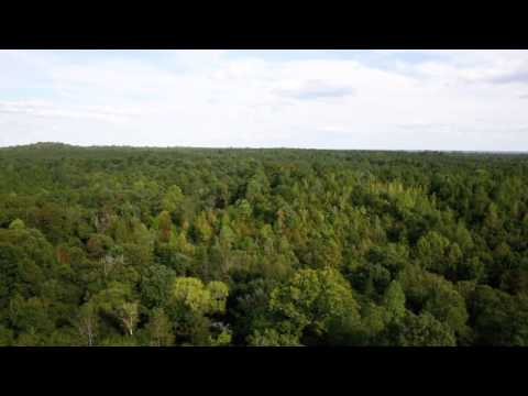 192 acres Sweet Water, AL