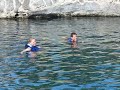 Swimmming with dolphins