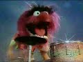 Muppet Show. Animal - Wild Thing (s2e22)